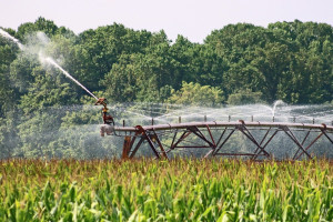 Opinie: “Industrie en boeren betalen te weinig voor grootschalig verbruik water.”